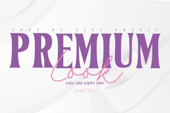 Elevate Your Designs with Premium Look Duo: A Modern Serif and Script Font Pairing