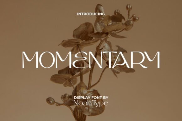 Momentary: Redefining Elegance in Modern Typography